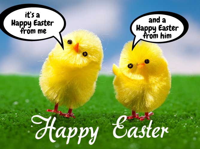 Happy Easter Chickens Image