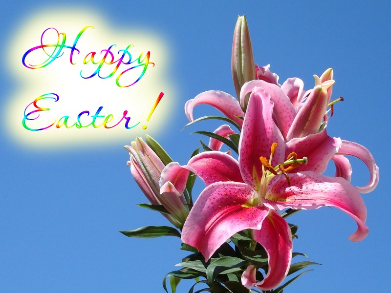Happy Easter Flowers Image For Facebook
