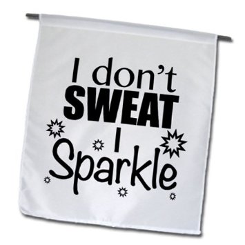 I Don't Sweat I Sparkle Funny Image
