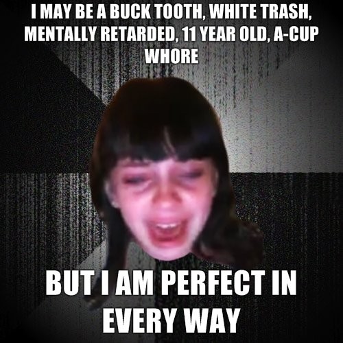 I May Be A Buck Tooth White Trash Mentally Retarded Funny Image