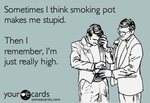 I Think Smoking Pot Makes Me Stupid Then Remember I Am Just Really High Funny Card Image