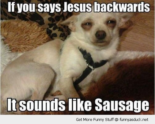 If You Says Jesus Backwards Funny High Dog Image