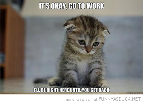 It's Okay Go to Work Funny Cat Picture