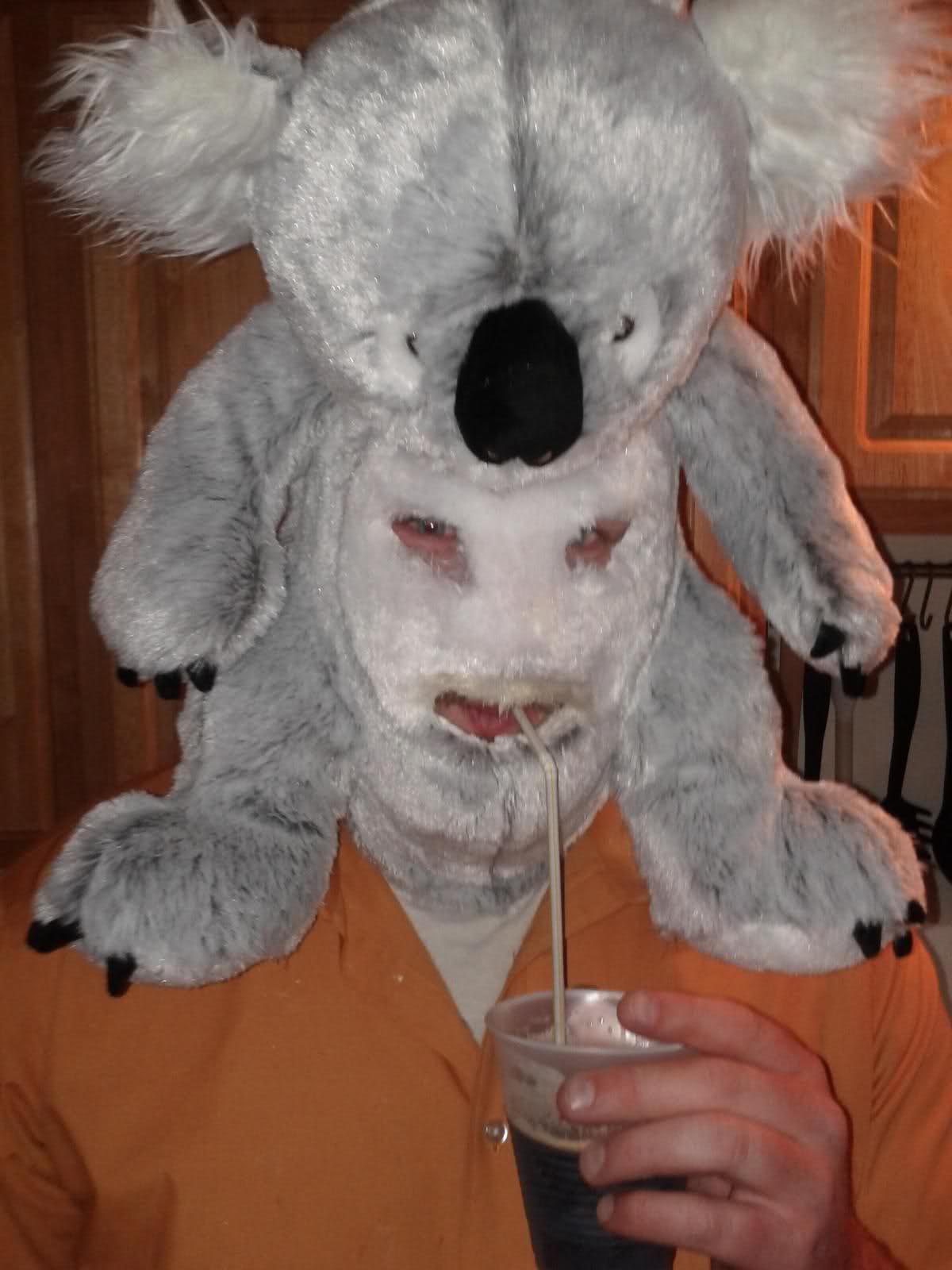 Man With Koala Mask Drinking Funny Wtf Image