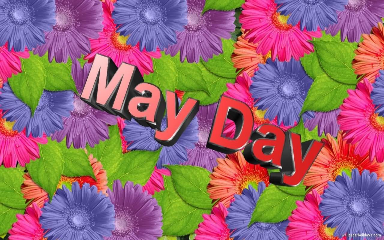 May Day Colorful Flowers Background