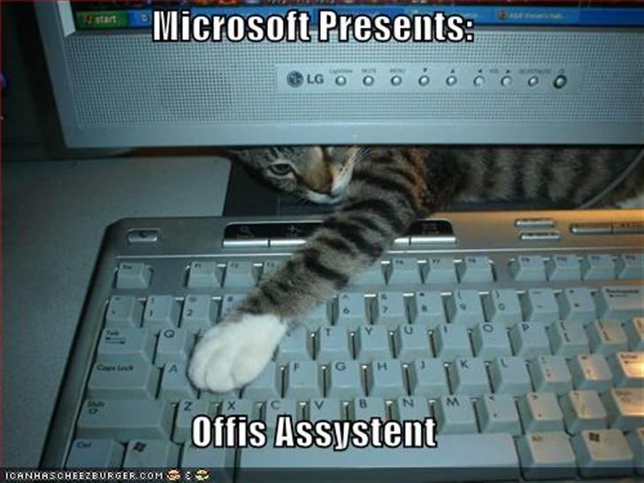 Microsoft Presents Offis Assytent Funny Cat Image