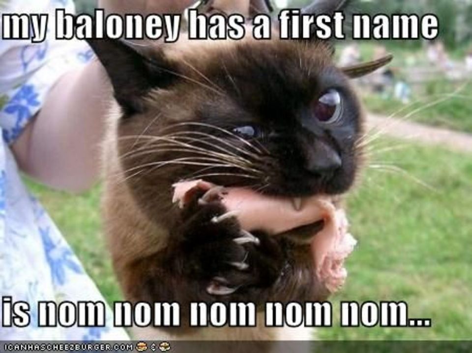 My Baloney Has A First Name Funny NOM NOM NOM Image