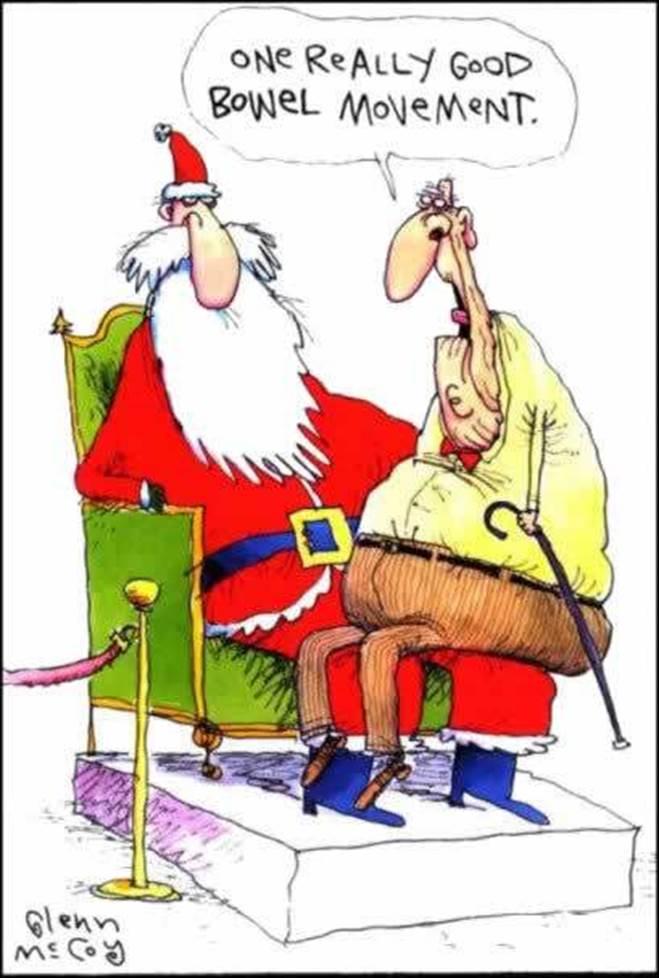 One Really God Bowel Movement Funny Santa Image