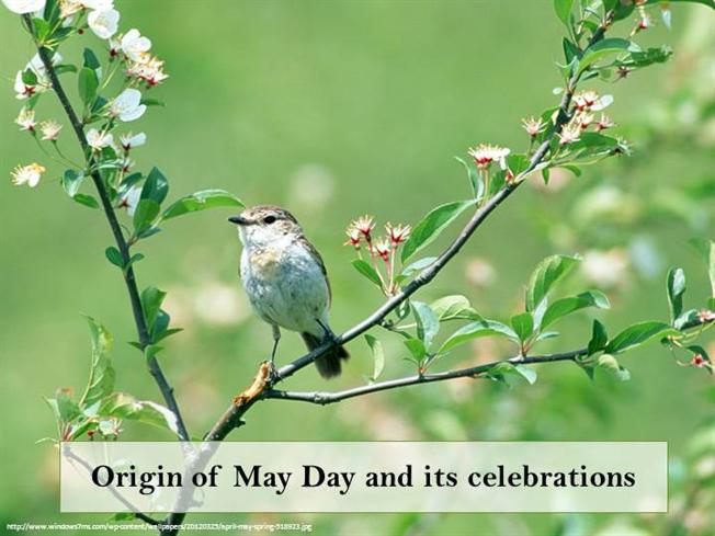 Origin Of May Day And Its Celebrations