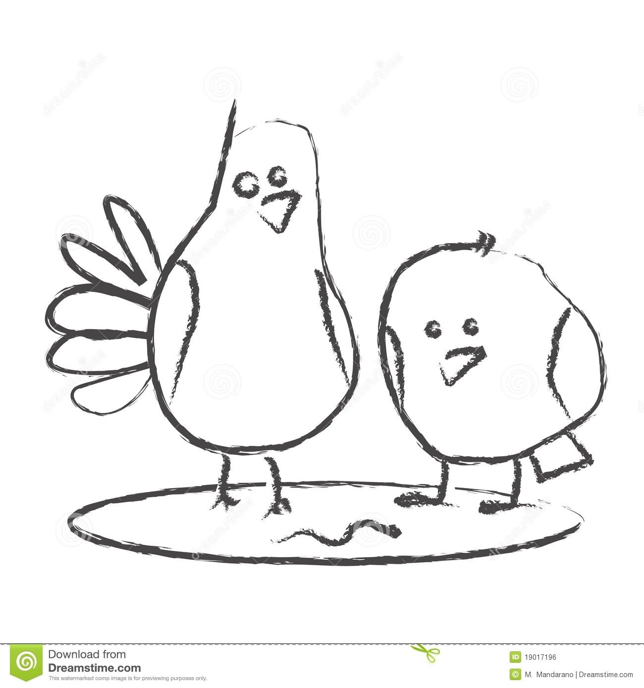 Pigeon And Sparrow Funny Drawing Picture