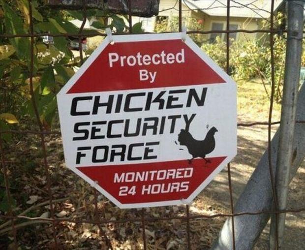Protected By Chicken Security Force Funny Wtf Sign Board Image