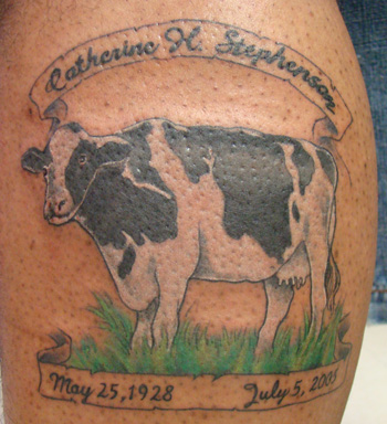 Realistic Cow With Banner Tattoo Design