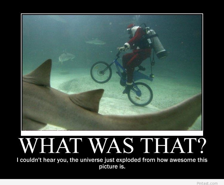 Santa Cycling In Under Water Funny Wtf Picture