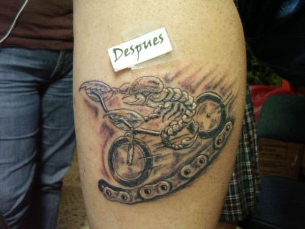 Scorpion Riding Mountain Bike Tattoo Design