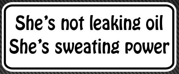 She's Not Leaking Oil She's Sweating Power Funny Sticker Image