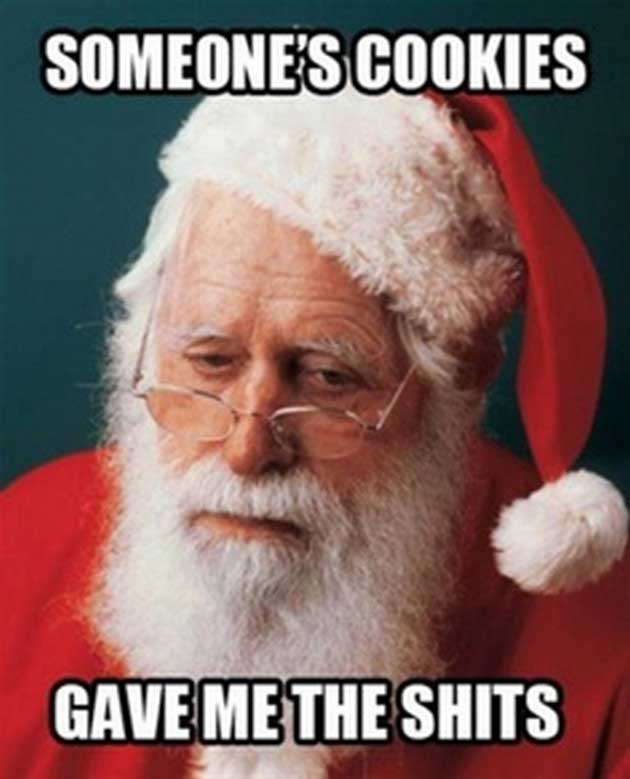 Someone's Cookies Gave Me The Shits Funny Santa Image