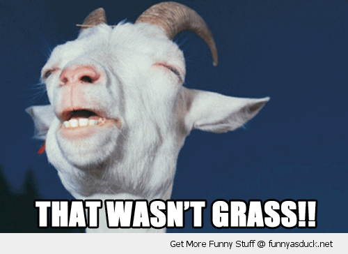 That Was Not Grass Funny High Goat Image