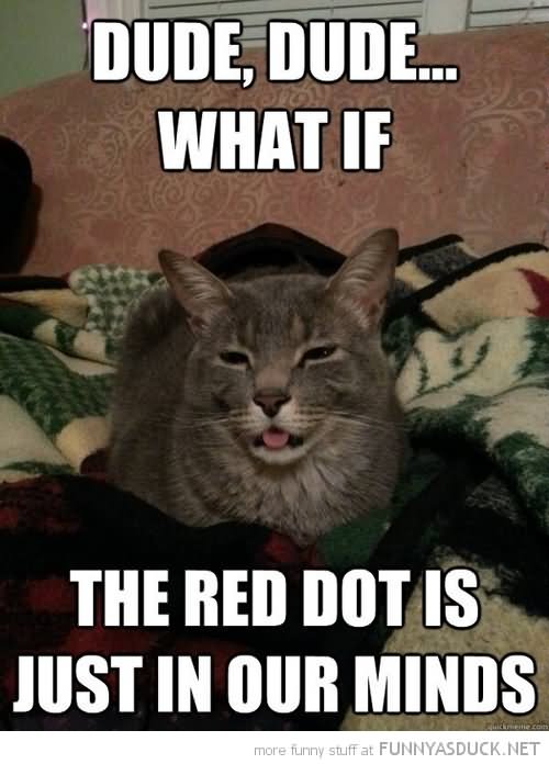The Red Dot Is Just In Our Minds Funny Cat Image