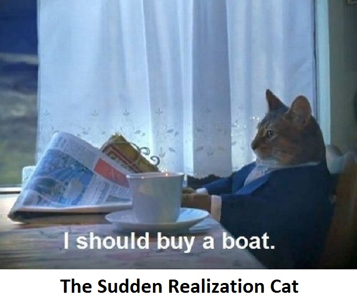 The Sudden Realization Cat Funny Image For Whatsapp