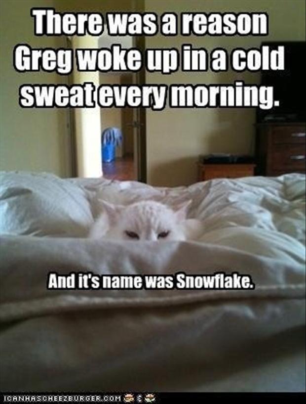 There Was A Reason Greg Woke Up In A Cold Sweat Every Morning Funny Image