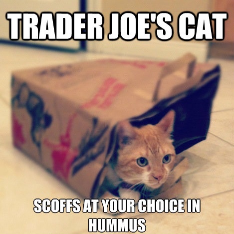 Trader Joe's Cat Scoffs At Your Choice In Hummus Funny Meme Picture