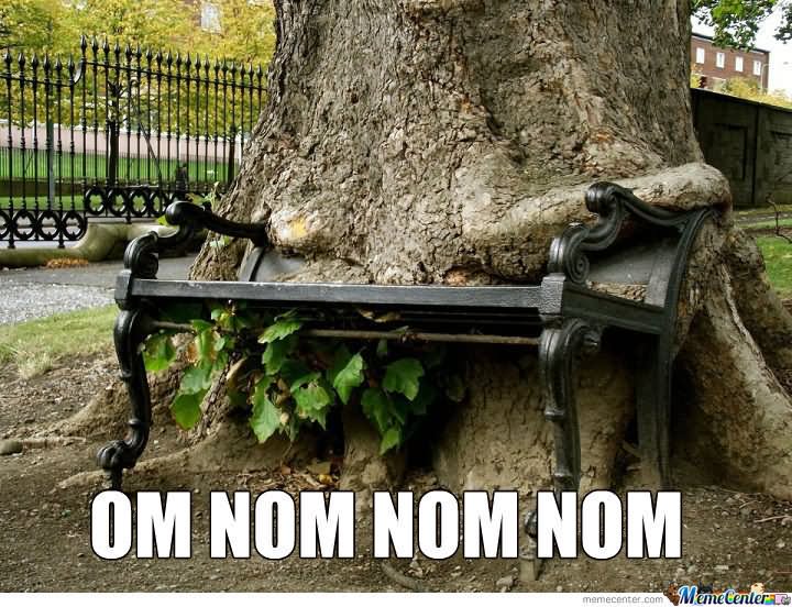 Tree Eating Bench Funny NOM NOM NOM Image