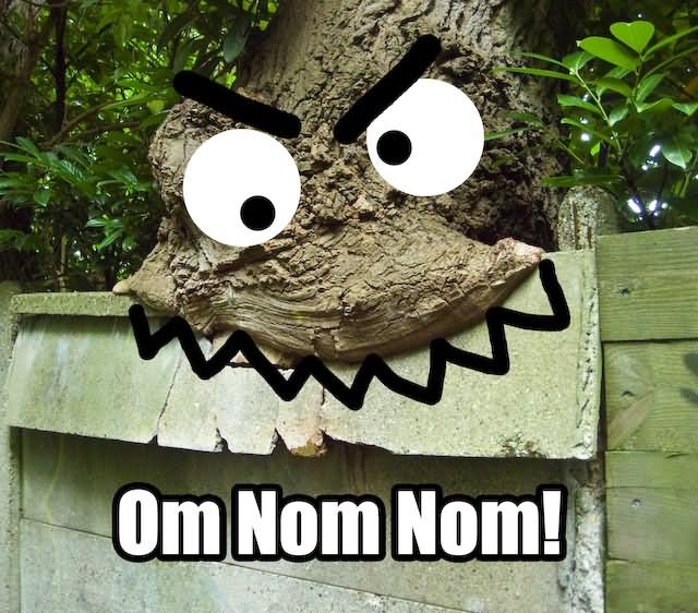 Tree Eating Wall Funny NOM NOM NOM Picture For Whatsapp