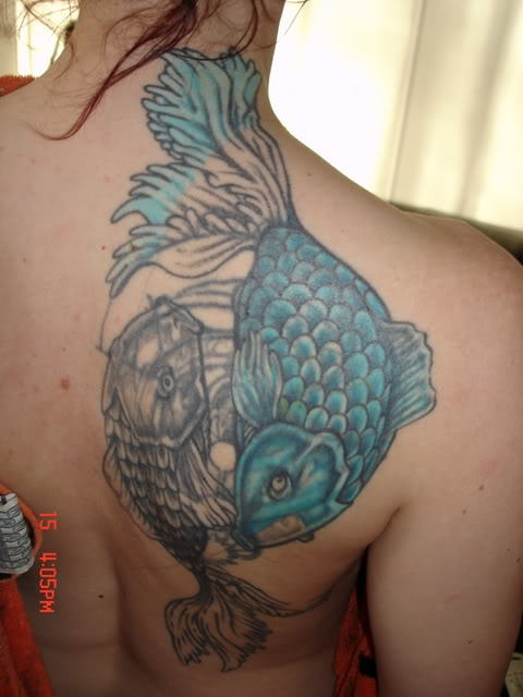 Two Aqua Color Fish Tattoo On Right Back Shoulder