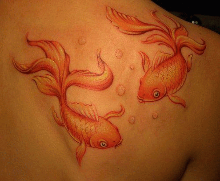 Two Aqua Fish Tattoo On Right Back Shoulder