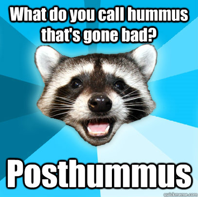 What Do You Call Hummus That's Gone Bad Funny Dog Image