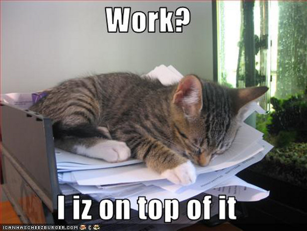 Work I Iz On The Top Of It Funny Image