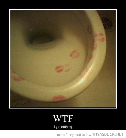 Wtf I Got Nothing Funny Kissing Toilet Picture For Whatsapp