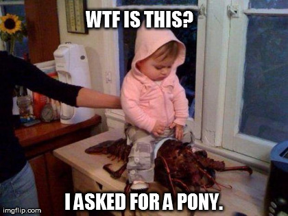 Wtf Is This I Asked For A Pony Funny Kid Meme