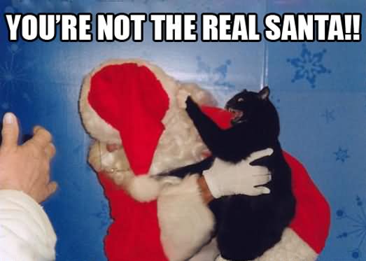 You Are Not The Real Santa Funny Caption