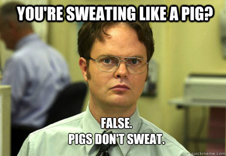You Are Sweating Like A Pig Funny Meme Image