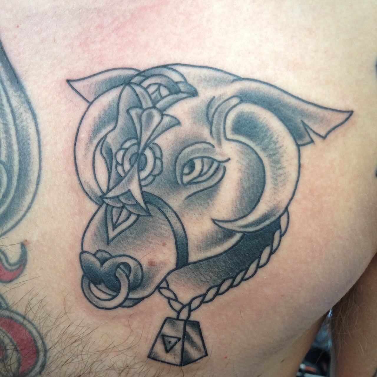 Black And Grey Cow Head Tattoo On Man Right Chest