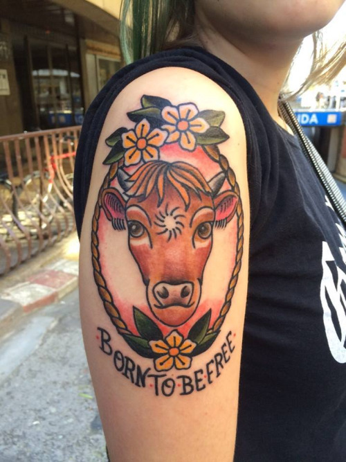 Born To Be Free - Traditional Cow Head In Frame Tattoo On Girl Right Shoulder