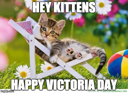 Hey Kittens Happy Victoria Day