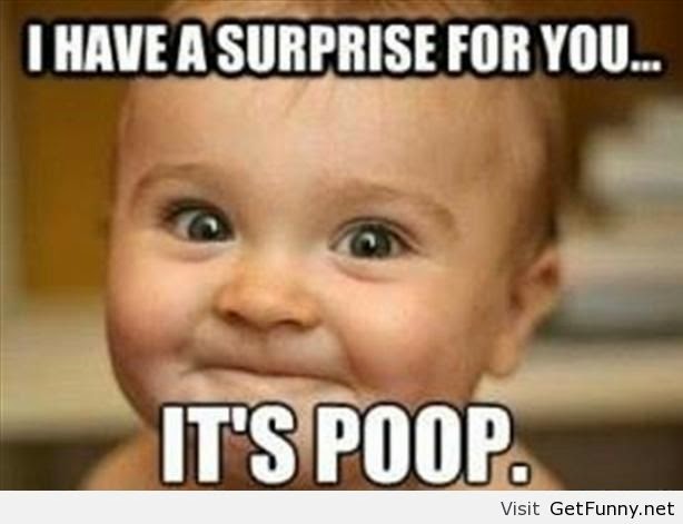 I Have A Surprise For You It's Poop Funny Image