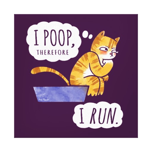I Poop Therefore Funny Cat Image