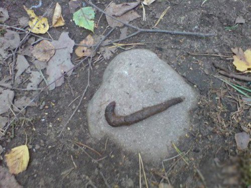 Nike Shape Funny Poop Picture For Facebook