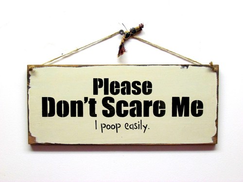 Please Don't Scare Me I Poop Easily Funny Image