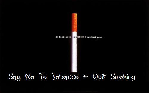Say No To Tobacco Quit Smoking Poster