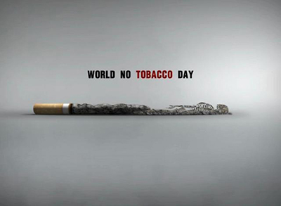 World No Tobacco Day Picture For Facebook
