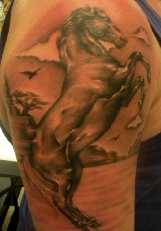 Black Ink Horse Tattoo On Right Shoulder
