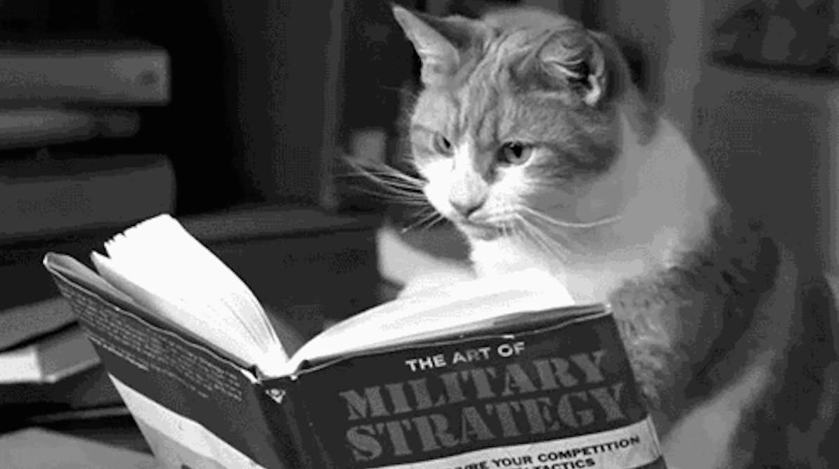 Cat Reading Book Funny Black And White Image