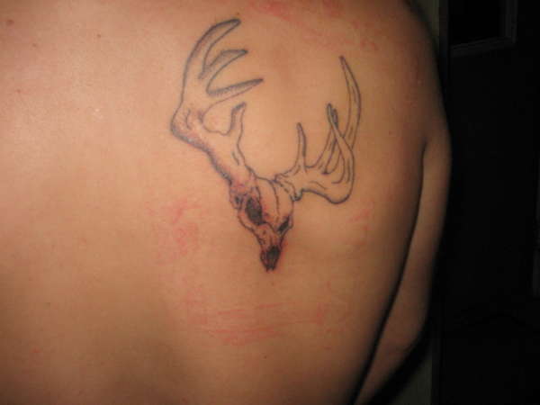 Deer Skull Bone Tattoo Design For Back Shoulder