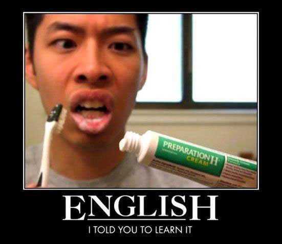 English I Told You To Learn It Funny Motivational Picture