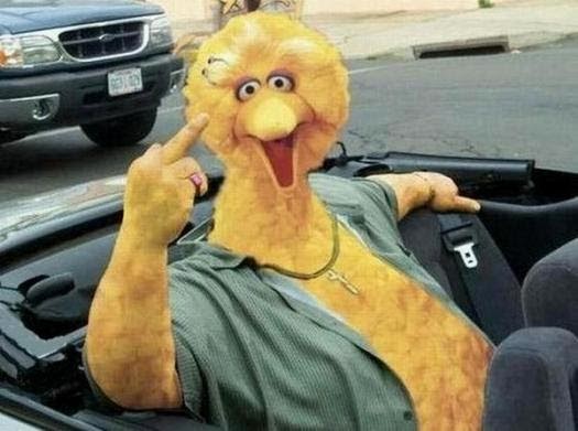 Flip Off Bird In Car Funny Image