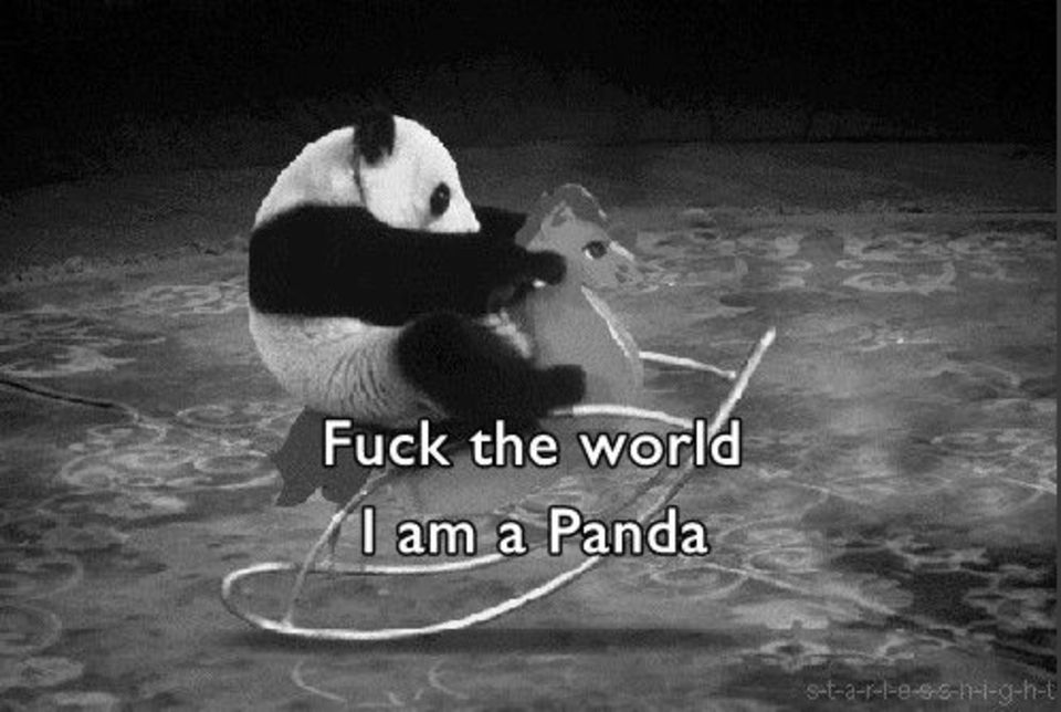 Fuck The World I Am Panda Funny Black And White Image
